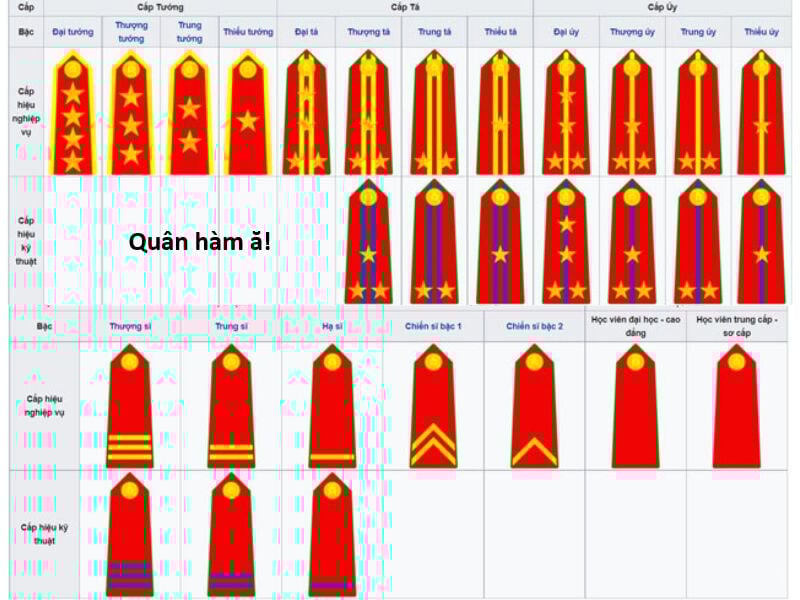 Hổ Đến Chơi Nhà: Chapter 139