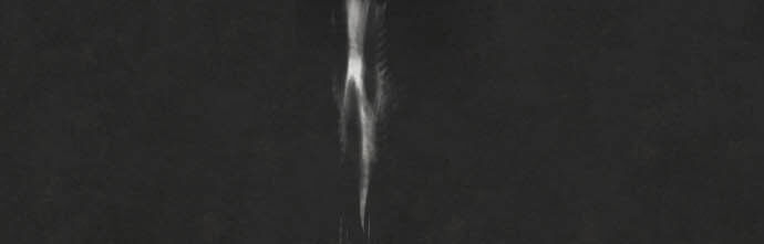 Hoa Cánh Sao: Chapter 1