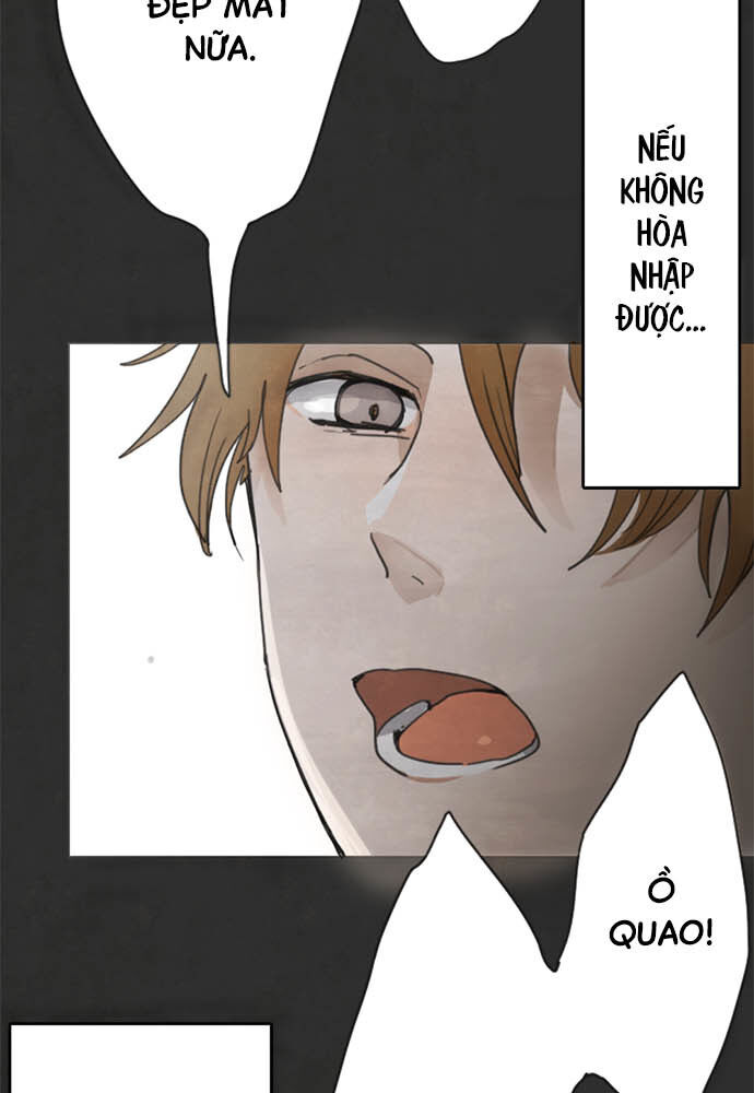 Hoa Cánh Sao: Chapter 1