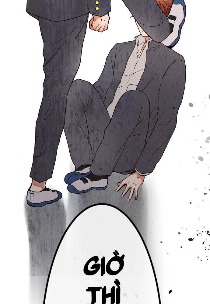 Hoa Cánh Sao: Chapter 100