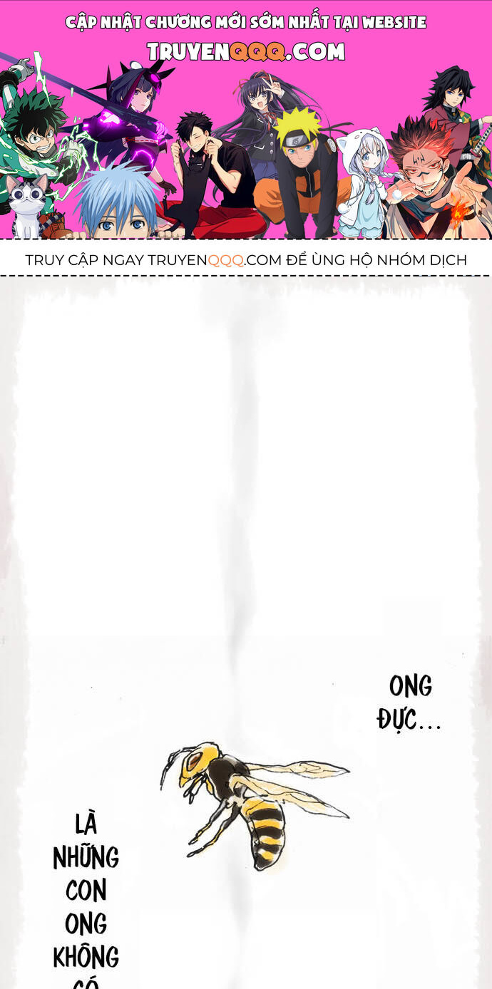 Hoa Cánh Sao: Chapter 12