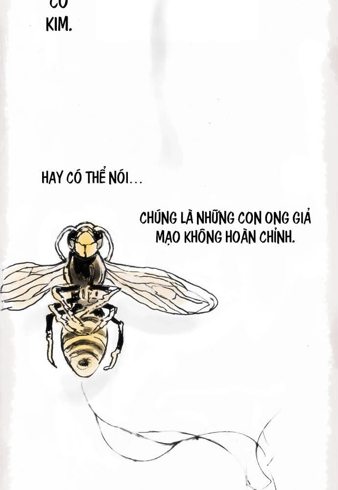 Hoa Cánh Sao: Chapter 12