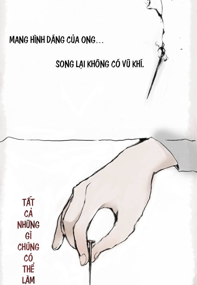 Hoa Cánh Sao: Chapter 12