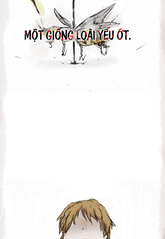 Hoa Cánh Sao: Chapter 12