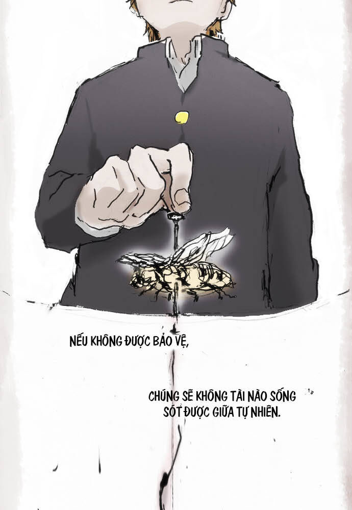 Hoa Cánh Sao: Chapter 12