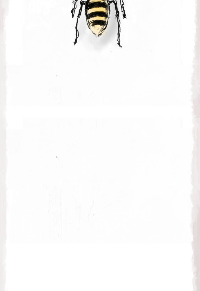 Hoa Cánh Sao: Chapter 12