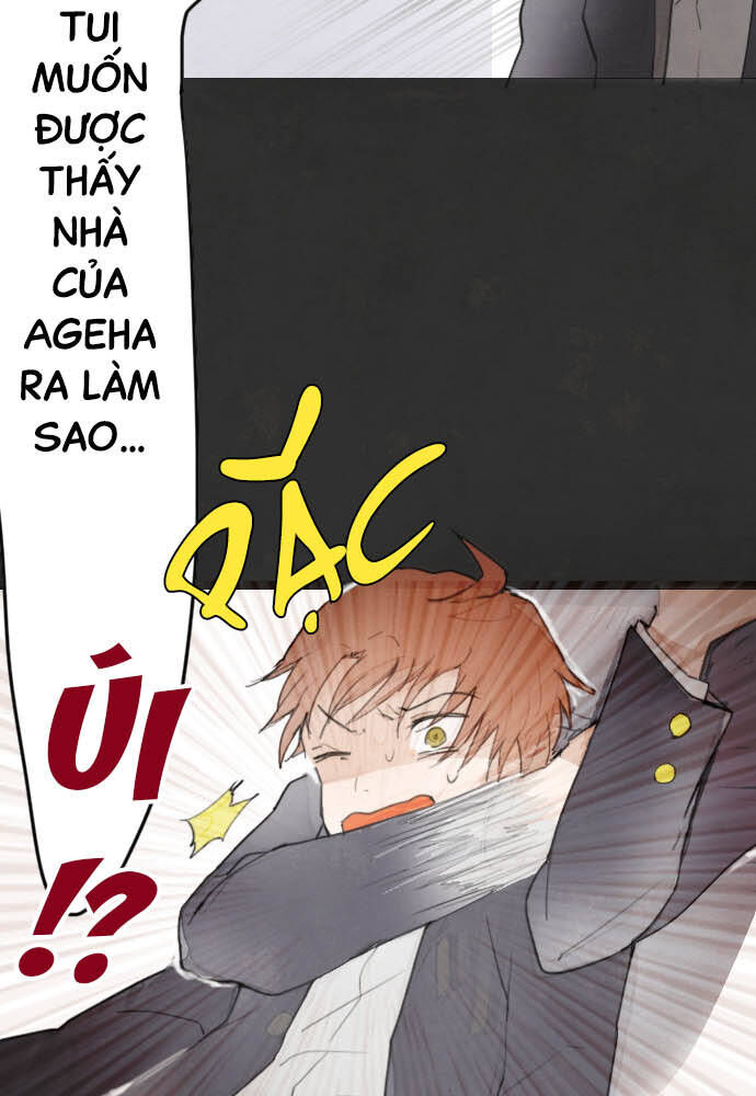 Hoa Cánh Sao: Chapter 13