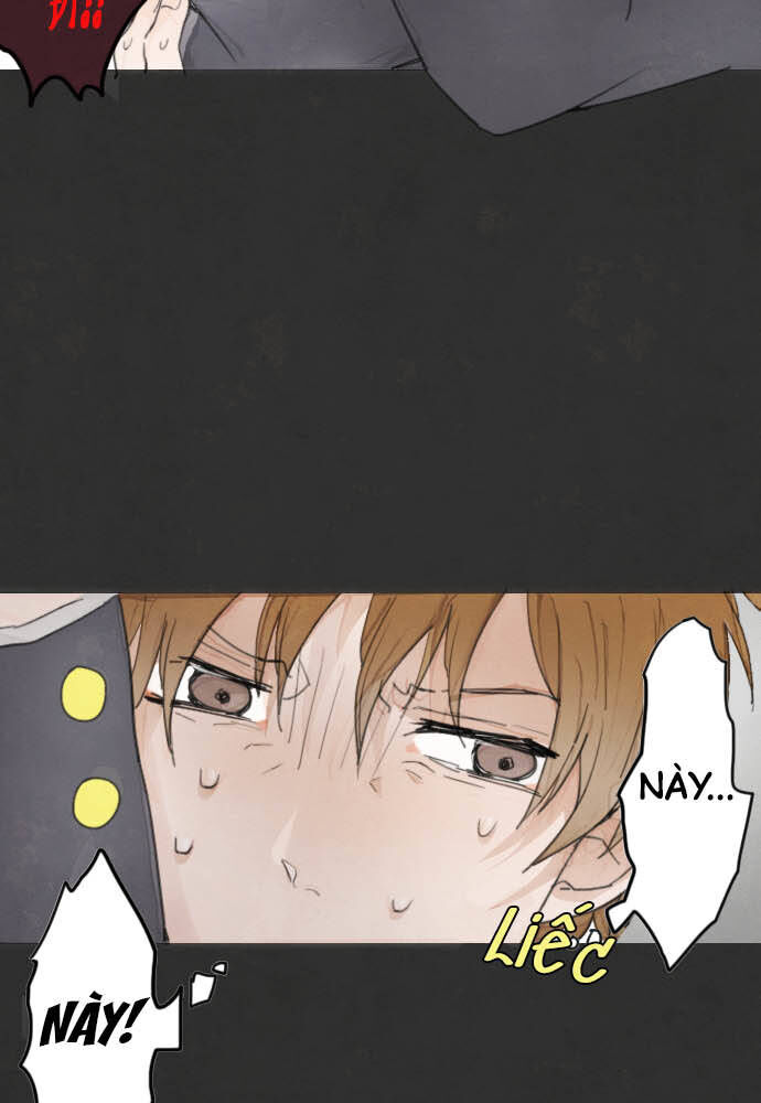 Hoa Cánh Sao: Chapter 13