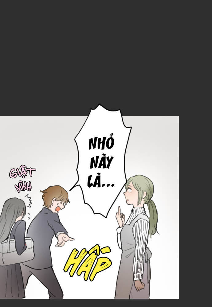 Hoa Cánh Sao: Chapter 15