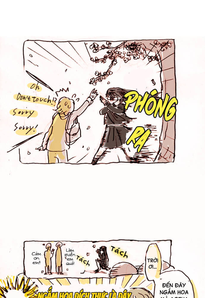 Hoa Cánh Sao: Chapter 15