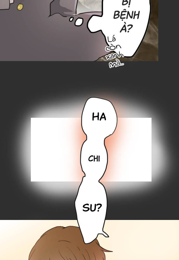 Hoa Cánh Sao: Chapter 18