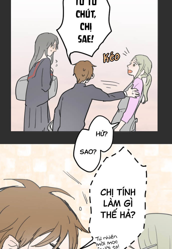 Hoa Cánh Sao: Chapter 19