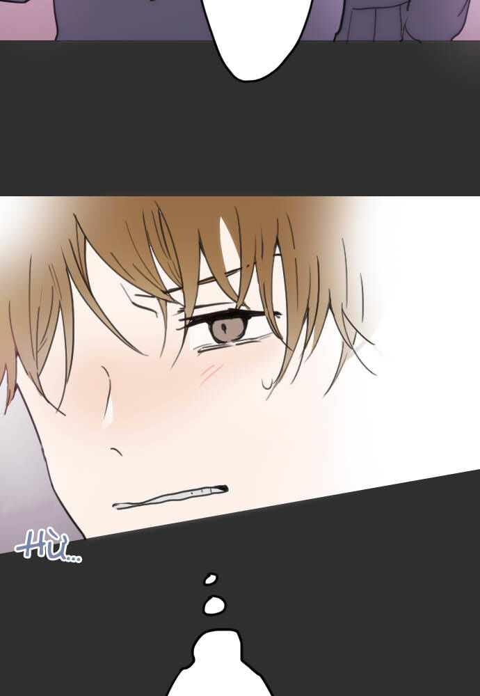 Hoa Cánh Sao: Chapter 19