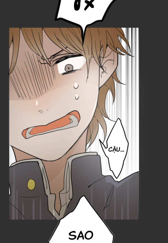 Hoa Cánh Sao: Chapter 20
