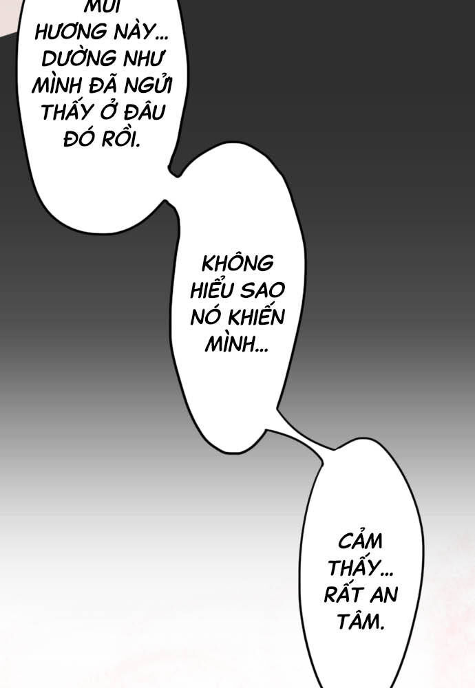 Hoa Cánh Sao: Chapter 28