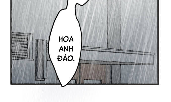 Hoa Cánh Sao: Chapter 28