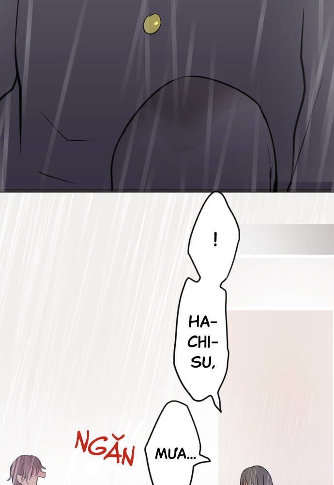 Hoa Cánh Sao: Chapter 28