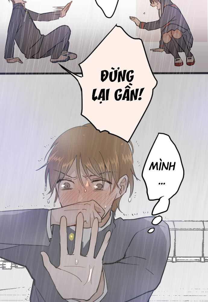 Hoa Cánh Sao: Chapter 28
