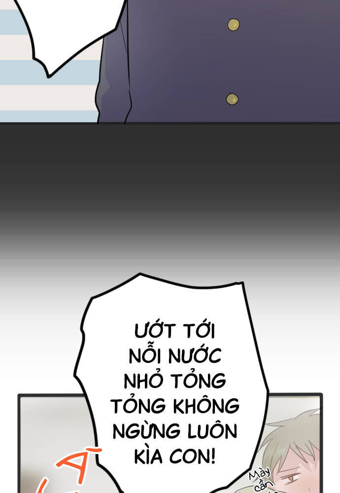 Hoa Cánh Sao: Chapter 28