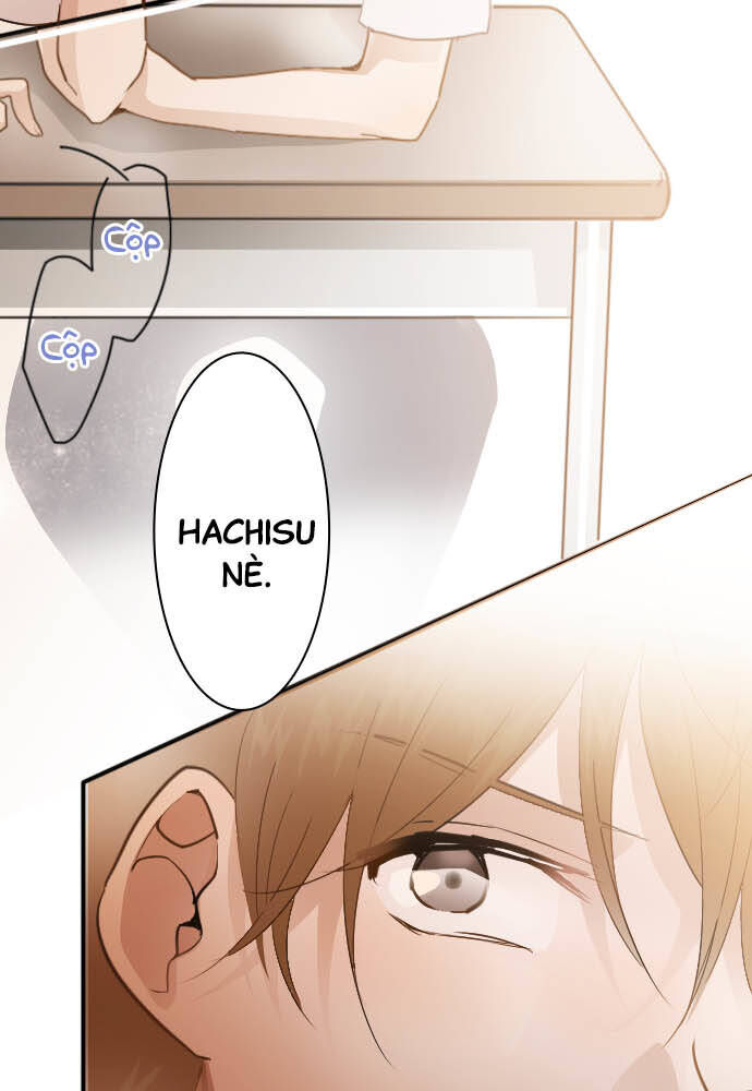 Hoa Cánh Sao: Chapter 49