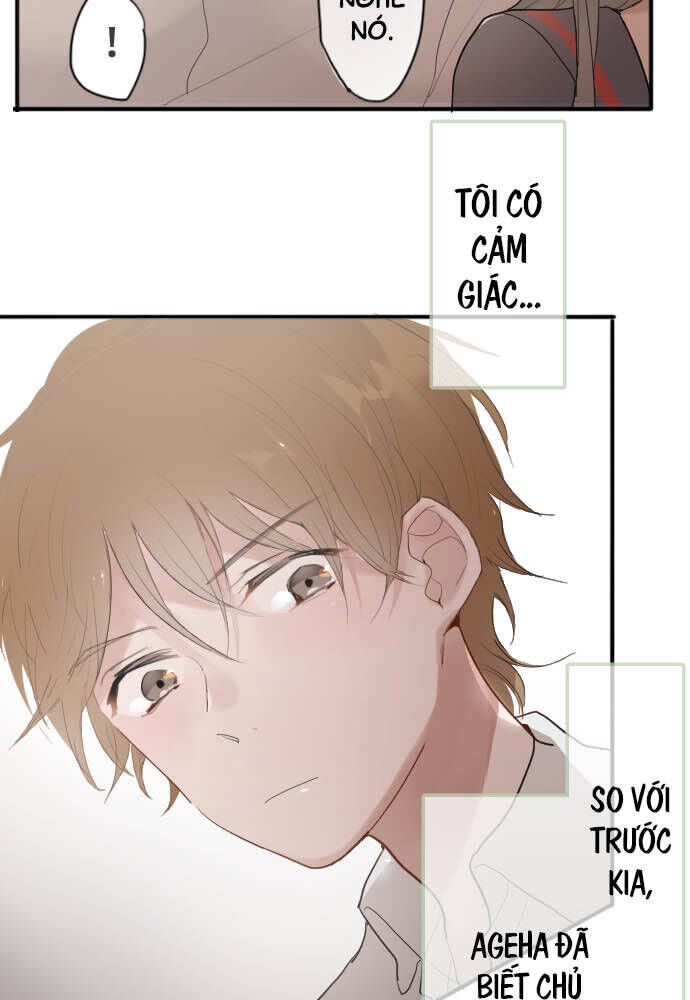 Hoa Cánh Sao: Chapter 58