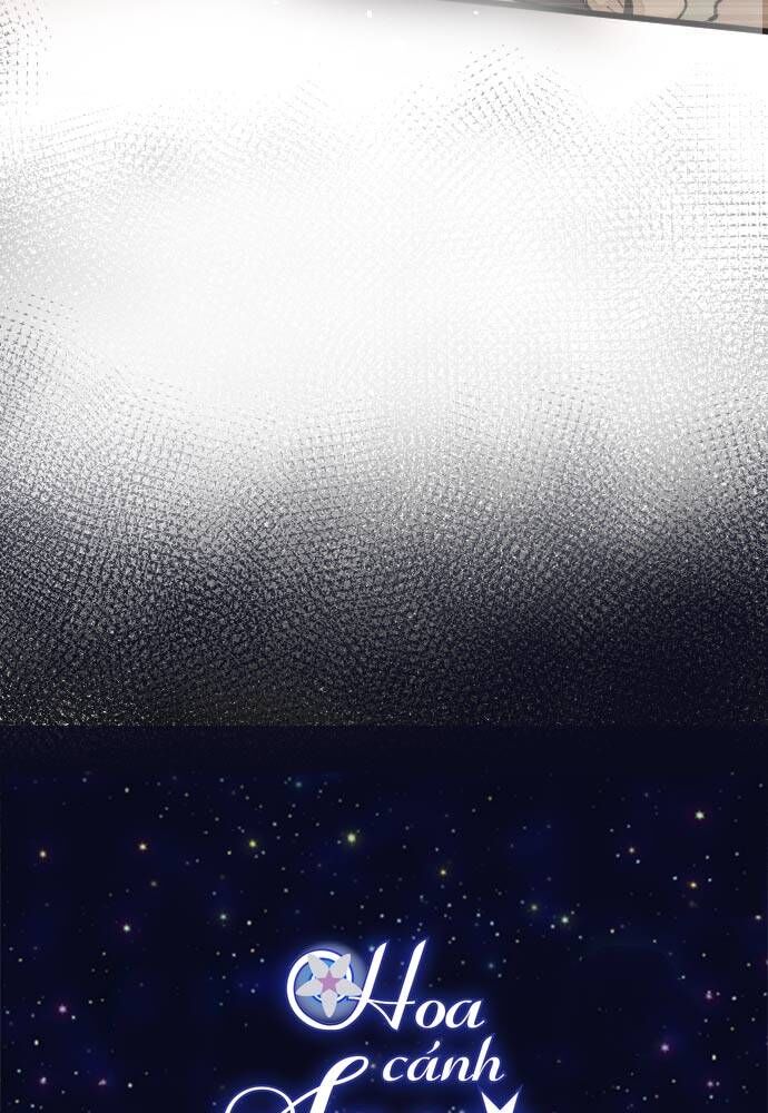 Hoa Cánh Sao: Chapter 94