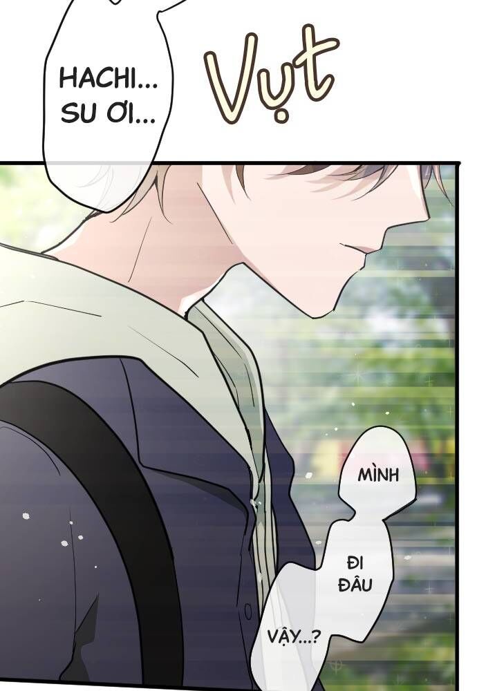 Hoa Cánh Sao: Chapter 94