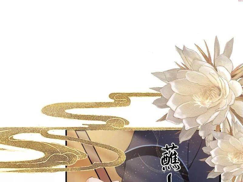 Hoá Ra Ta Đã Vô Địch Từ Lâu: Chapter 155