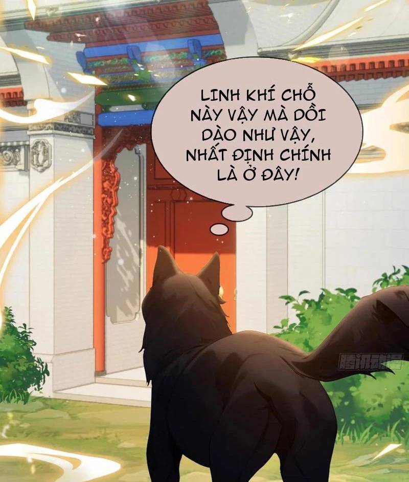 Hoá Ra Ta Đã Vô Địch Từ Lâu: Chapter 179