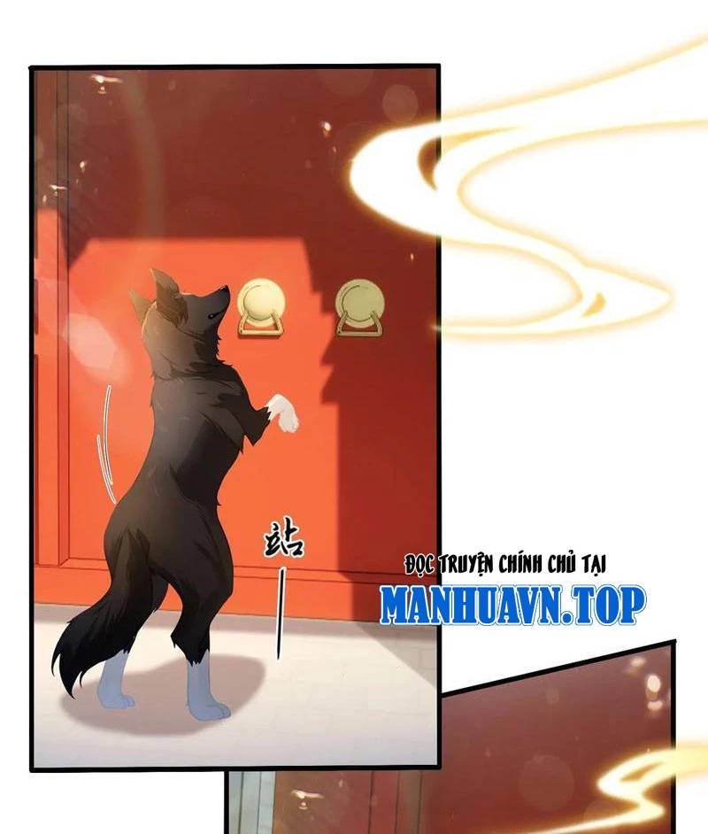 Hoá Ra Ta Đã Vô Địch Từ Lâu: Chapter 179