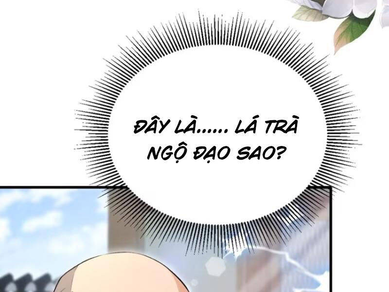 Hoá Ra Ta Đã Vô Địch Từ Lâu: Chapter 204