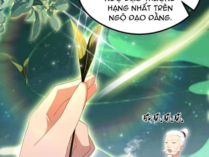 Hoá Ra Ta Đã Vô Địch Từ Lâu: Chapter 204