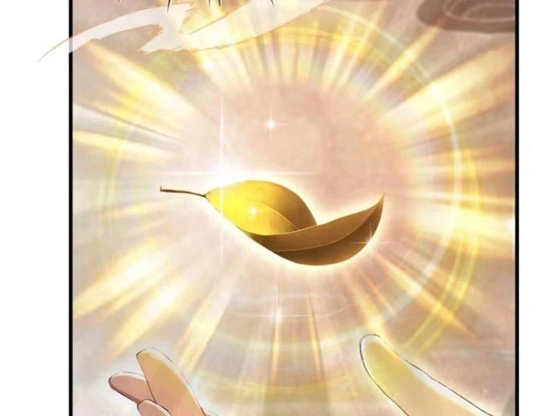 Hoá Ra Ta Đã Vô Địch Từ Lâu: Chapter 205