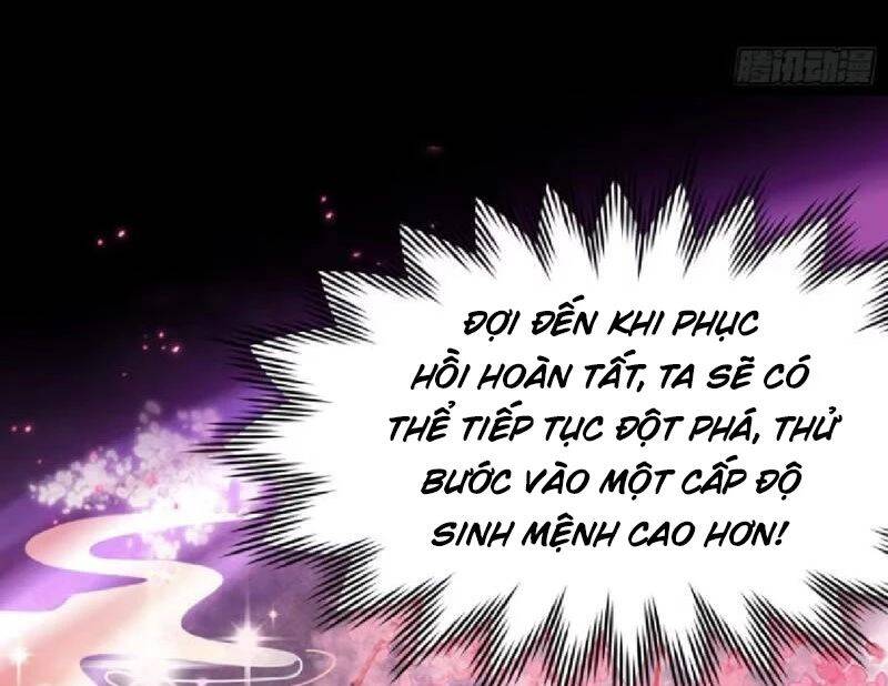 Hoá Ra Ta Đã Vô Địch Từ Lâu: Chapter 214