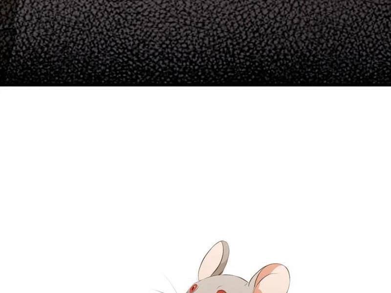 Hoá Ra Ta Đã Vô Địch Từ Lâu: Chapter 215