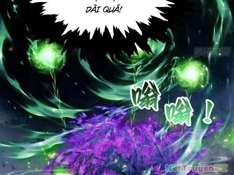 Hoá Ra Ta Đã Vô Địch Từ Lâu: Chapter 222