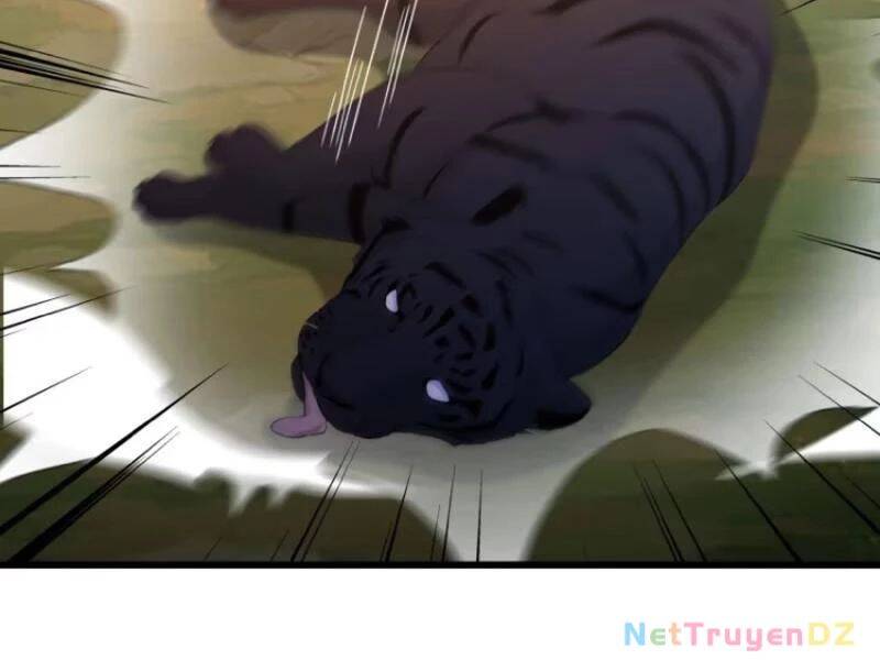 Hoá Ra Ta Đã Vô Địch Từ Lâu: Chapter 222