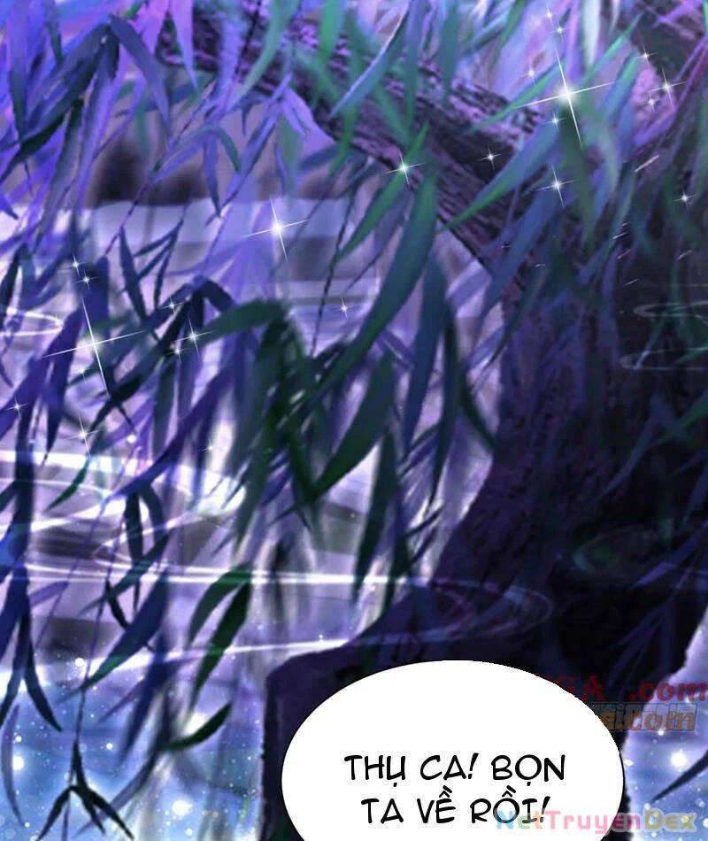 Hoá Ra Ta Đã Vô Địch Từ Lâu: Chapter 224