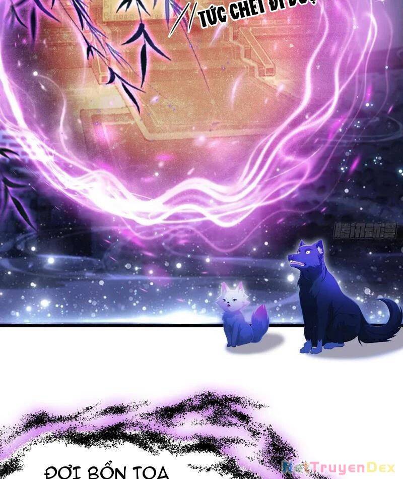 Hoá Ra Ta Đã Vô Địch Từ Lâu: Chapter 224