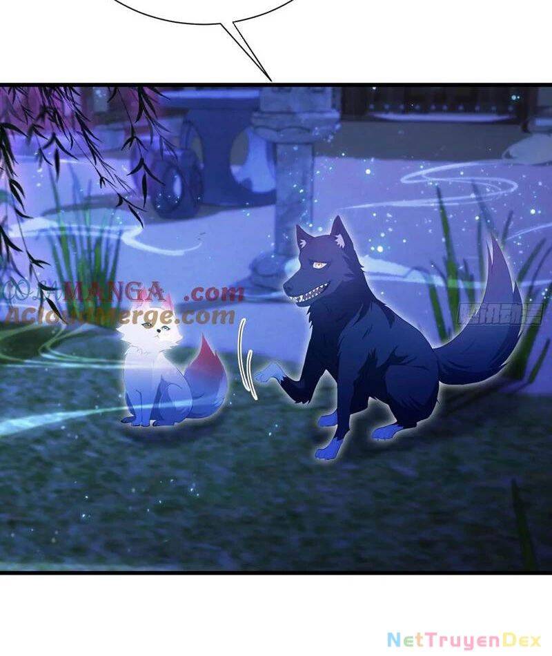 Hoá Ra Ta Đã Vô Địch Từ Lâu: Chapter 224