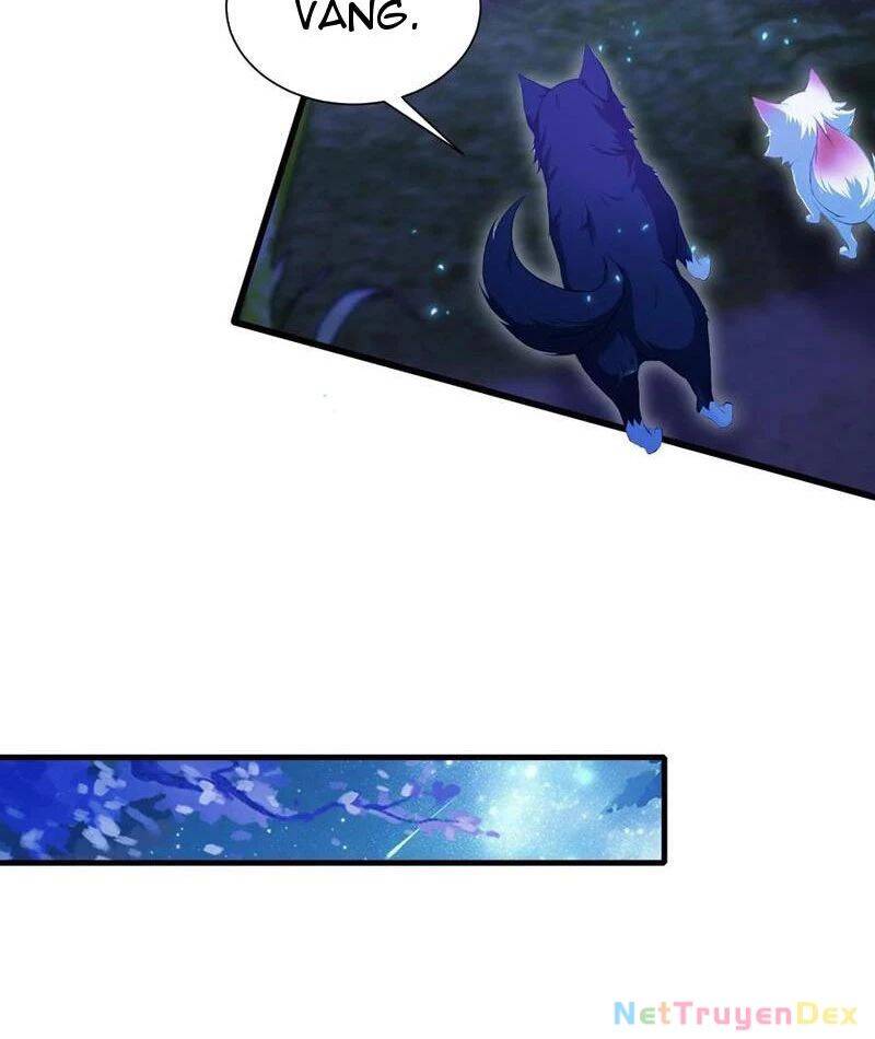 Hoá Ra Ta Đã Vô Địch Từ Lâu: Chapter 224