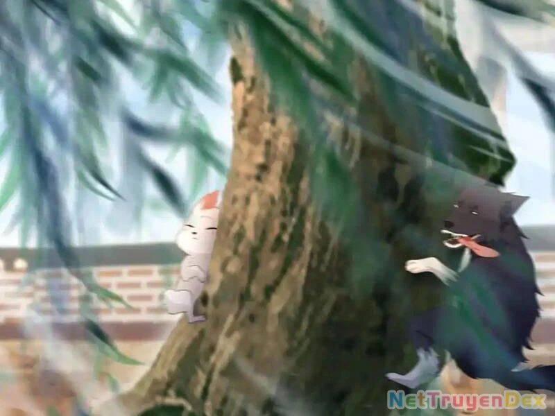 Hoá Ra Ta Đã Vô Địch Từ Lâu: Chapter 225