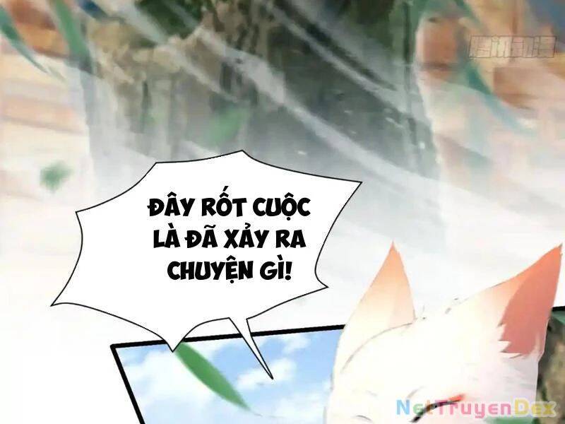 Hoá Ra Ta Đã Vô Địch Từ Lâu: Chapter 225