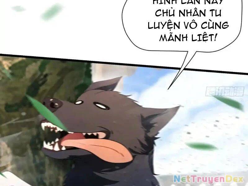 Hoá Ra Ta Đã Vô Địch Từ Lâu: Chapter 225