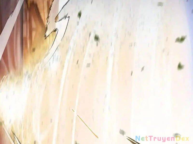 Hoá Ra Ta Đã Vô Địch Từ Lâu: Chapter 225