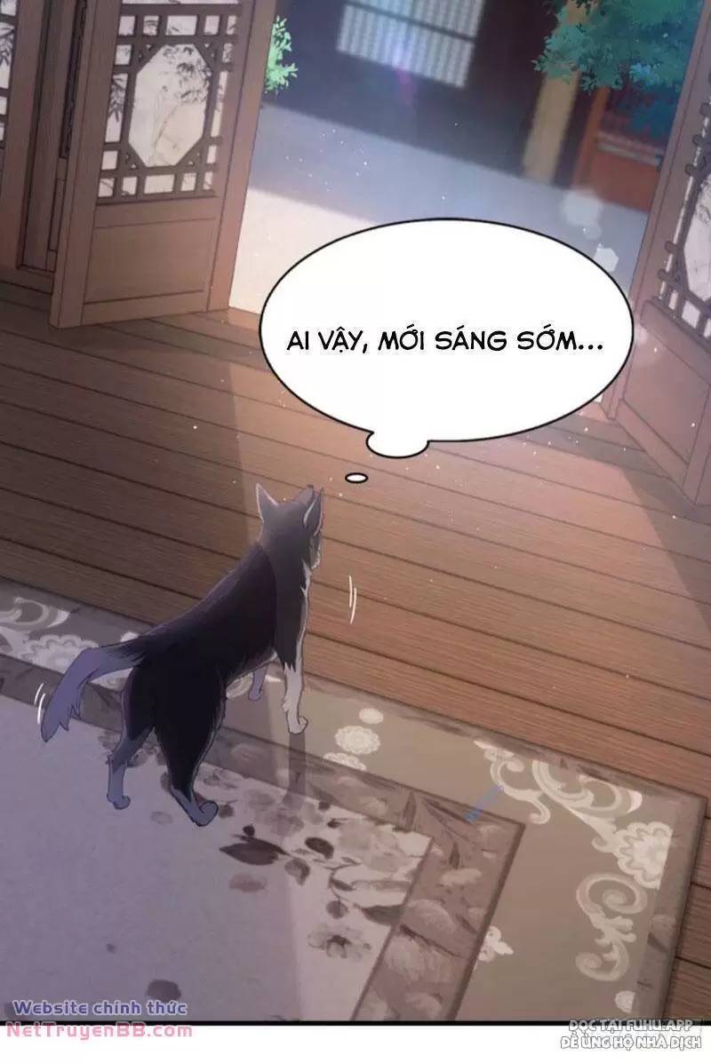 Hoá Ra Ta Đã Vô Địch Từ Lâu: Chapter 23