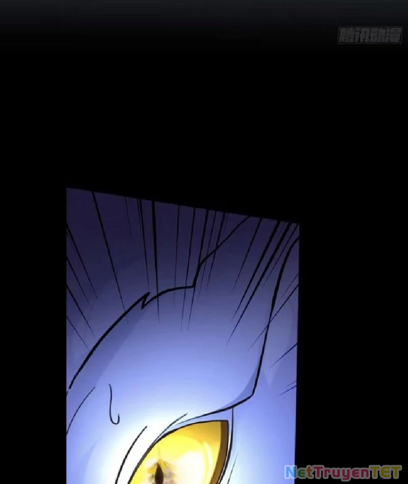 Hoá Ra Ta Đã Vô Địch Từ Lâu: Chapter 232