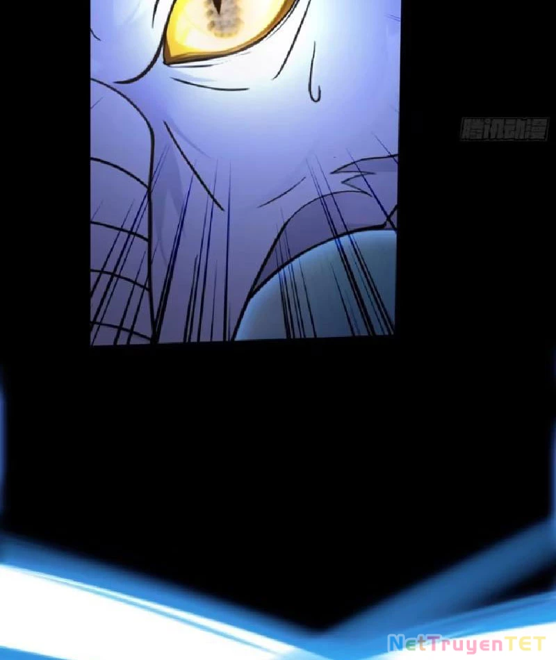 Hoá Ra Ta Đã Vô Địch Từ Lâu: Chapter 232