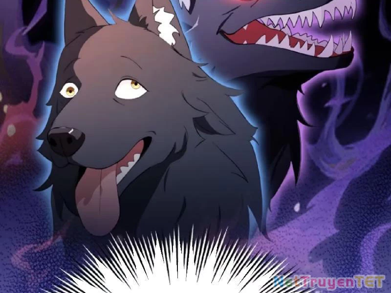 Hoá Ra Ta Đã Vô Địch Từ Lâu: Chapter 234