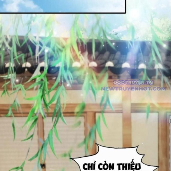 Hoá Ra Ta Đã Vô Địch Từ Lâu: Chapter 237